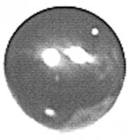 UW50806   Brake Actuating Ball---7/8" Diameter---Replaces 50A4272
